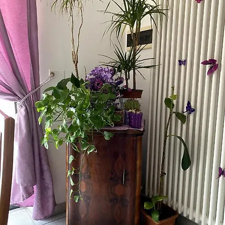 Bed & Breakfast Vittorio Emanuele 3*