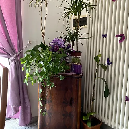 Bed & Breakfast Vittorio Emanuele