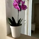 B&B Vittorio Emanuele Bed & Breakfast San Benedetto del Tronto