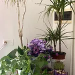 B&B Vittorio Emanuele 3*