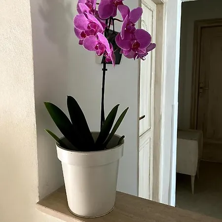 Vittorio Emanuele Bed & Breakfast San Benedetto del Tronto