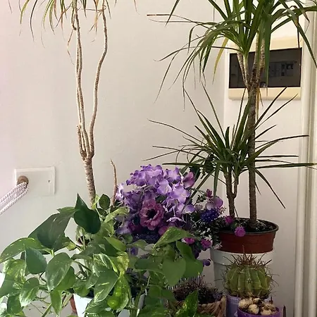 Vittorio Emanuele 3*