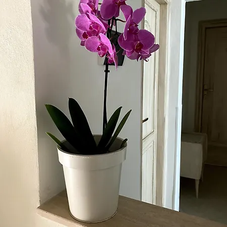 Vittorio Emanuele 3* San Benedetto del Tronto